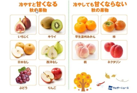 秋の果物