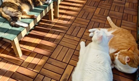 coco & fumi & Lin & Ryu