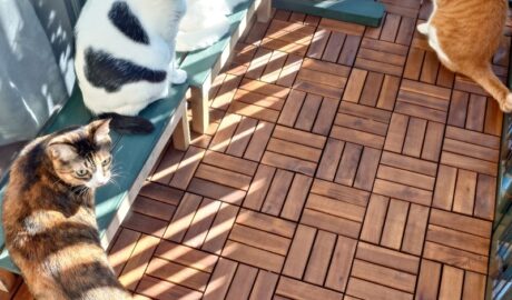 coco & fumi & Lin & Ryu