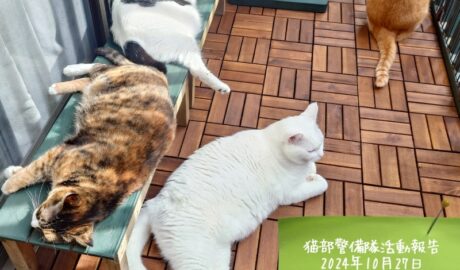 coco & fumi & Lin & Ryu