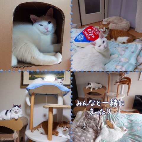 coco & fumi & Lin & Ryu