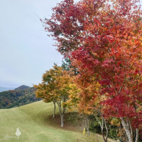 花咲カントリー倶楽部