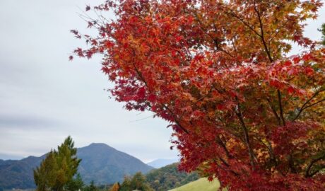 花咲カントリー倶楽部