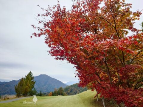 花咲カントリー倶楽部