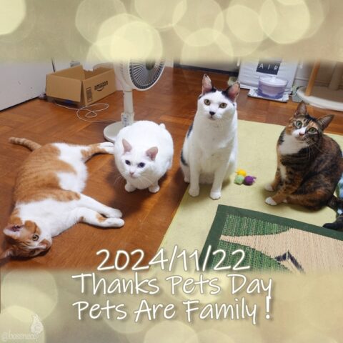 coco & fumi & Lin & Ryu