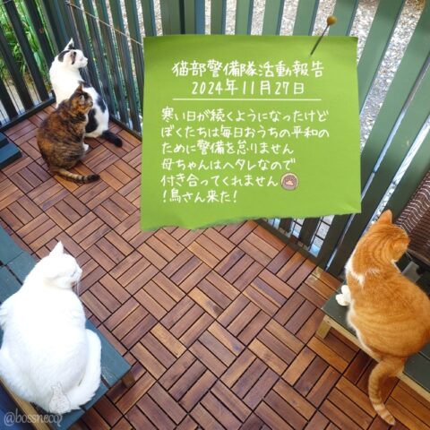 coco & fumi & Lin & Ryu