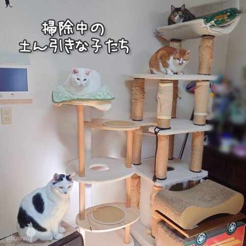 coco & fumi & Lin & Ryu