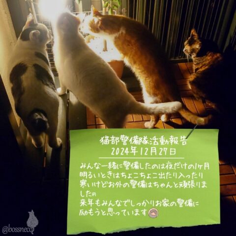 coco & fumi & Lin & Ryu