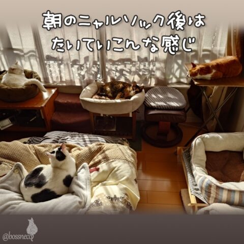 coco & fumi & Lin & Ryu