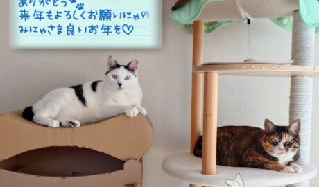 coco & fumi & Lin & Ryu