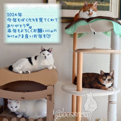 coco & fumi & Lin & Ryu