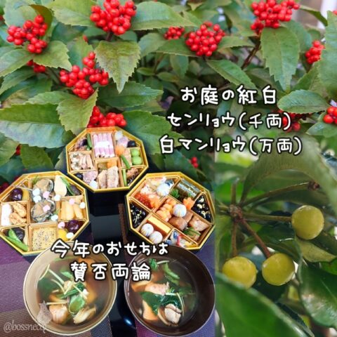 おせちと庭の紅白
