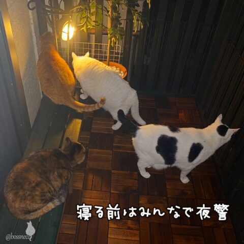 coco & fumi & Lin & Ryu