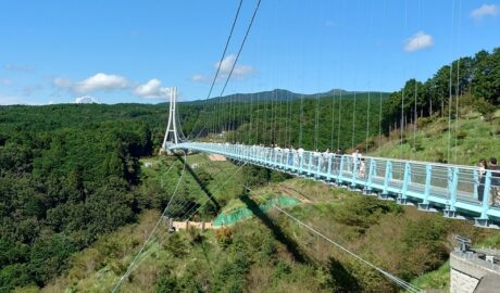 三島スカイウォーク