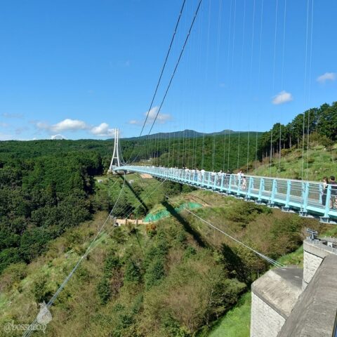 三島スカイウォーク