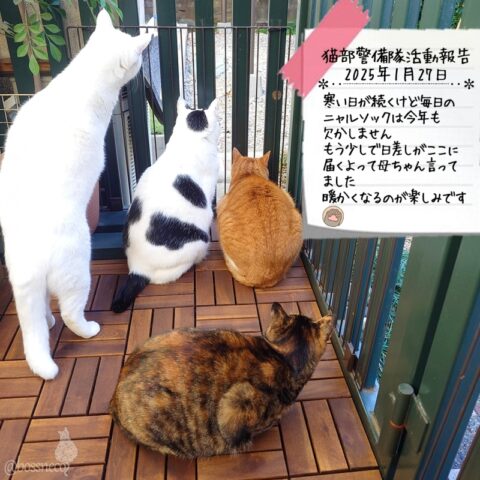 coco & fumi & Lin & Ryu