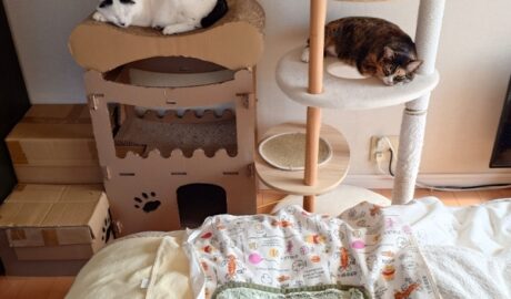 coco & fumi & Lin & Ryu