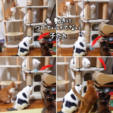 coco & fumi & Lin & Ryu