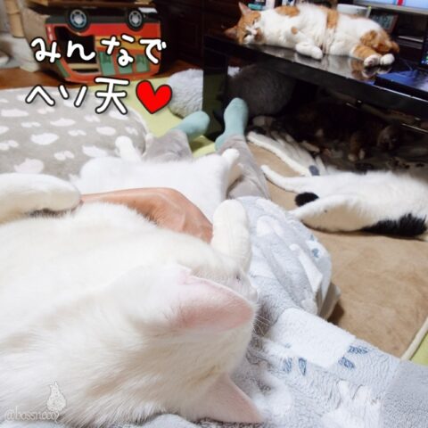 coco & fumi & Lin & Ryu