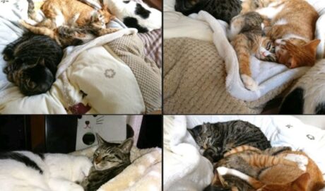 mark & coco & fumi & Lin