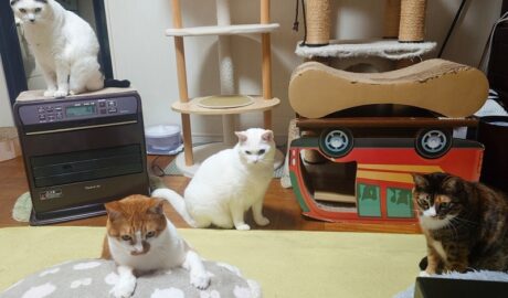 coco & fumi & Lin & Ryu