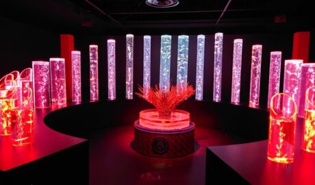 アートアクアリウム