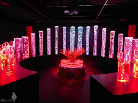 アートアクアリウム