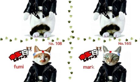 キジ白レディース