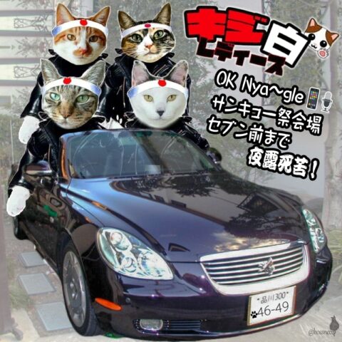 キジ白レディース