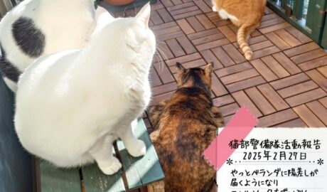 coco & fumi & Lin & Ryu