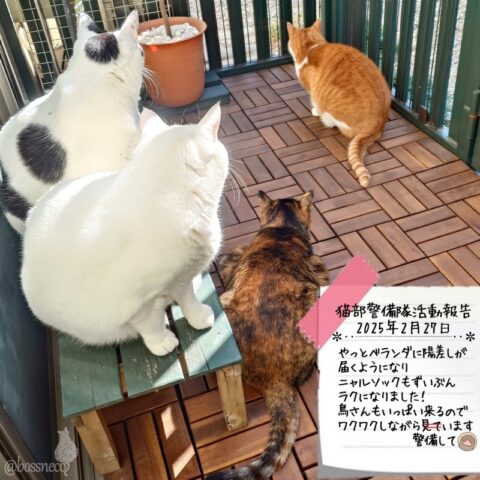 coco & fumi & Lin & Ryu