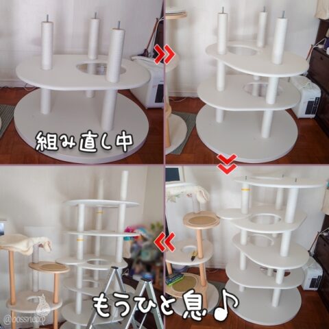 キャットタワー組み立て