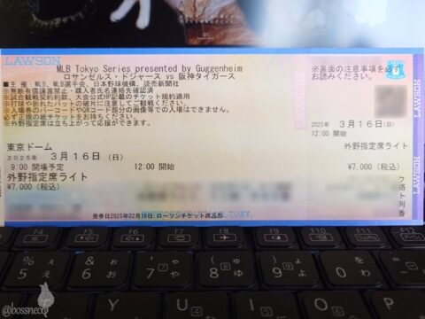 東京ドームチケット