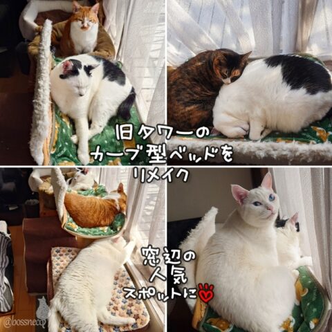 coco & fumi & Lin & Ryu