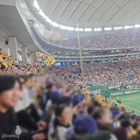 MLB TOKYO SERIES 2025