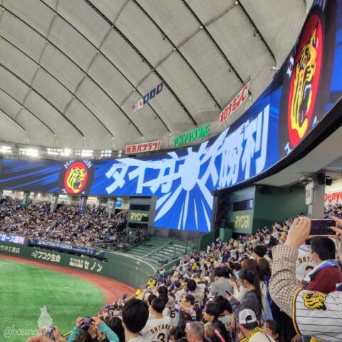 MLB TOKYO SERIES 2025