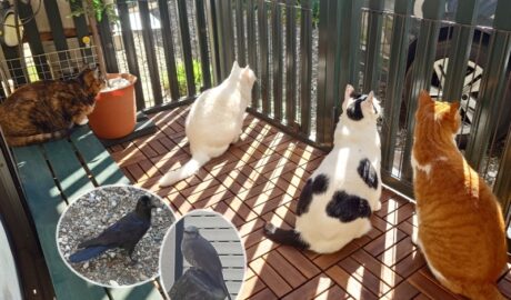 coco & fumi & Lin & Ryu