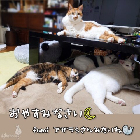 coco & fumi & Lin & Ryu