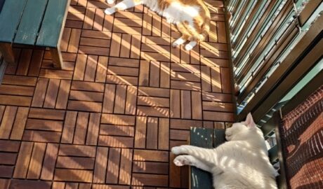 coco & fumi & Lin & Ryu