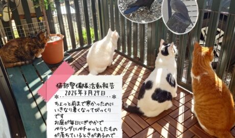 coco & fumi & Lin & Ryu