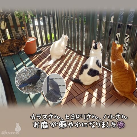 coco & fumi & Lin & Ryu