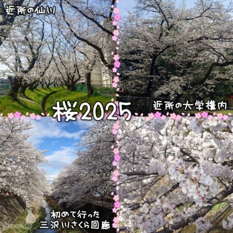 桜2025