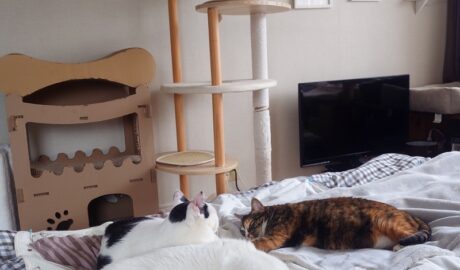 coco & fumi & Lin & Ryu