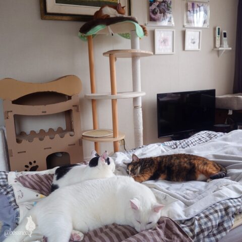 coco & fumi & Lin & Ryu