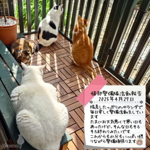 coco & fumi & Lin & Ryu