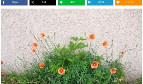 ナガミヒナゲシ