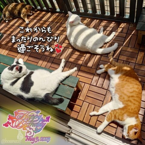 coco & fumi & Lin & Ryu