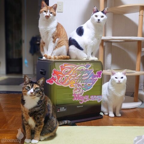 coco & fumi & Lin & Ryu