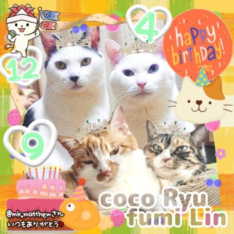 coco & fumi & Lin & Ryu