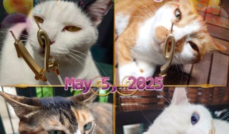 coco & fumi & Lin & Ryu